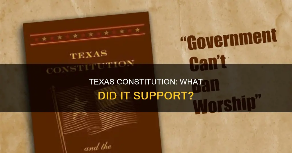 what did the texas constitution most likely support