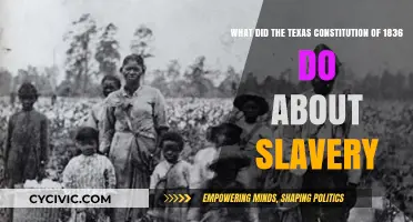 Texas Constitution of 1836: Slavery's Legal Foundations