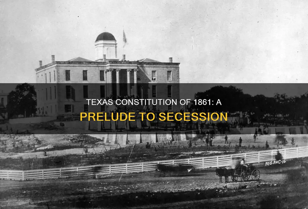 what did the texas constitution of 1861 do