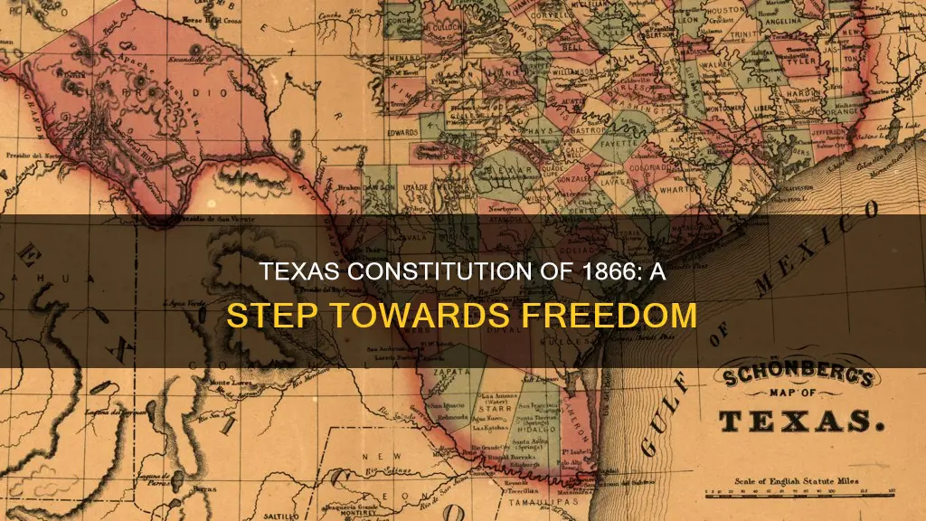 what did the texas constitution of 1866 do