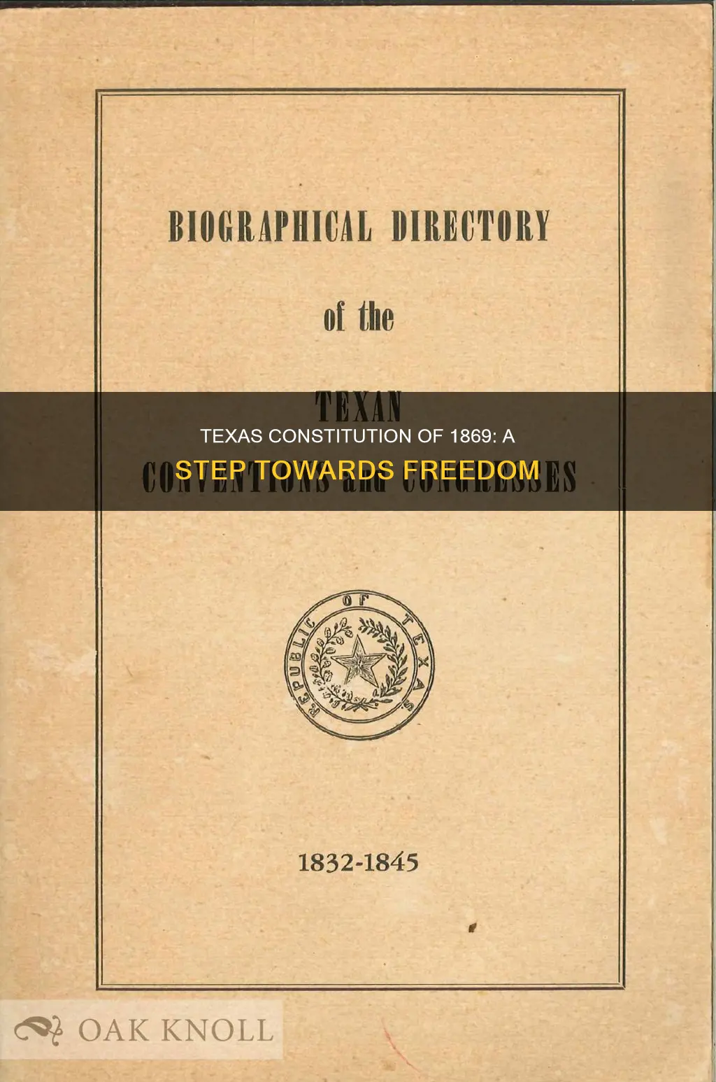 what did the texas constitution of 1869 do