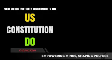 Amendment Impact: Freedom from Slavery in the US