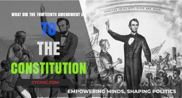 Amendment Impact: Thirteenth's Legacy on the Constitution