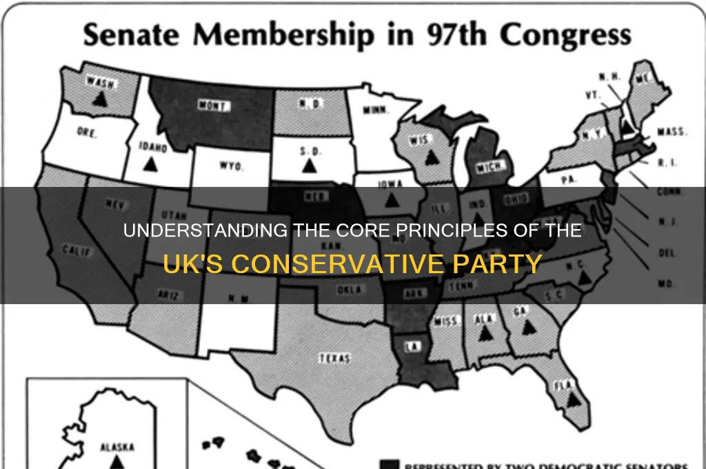 what did the tories political party believe in