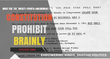 Amendment's Power: Outlawing Poll Taxes and Protecting Voting Rights