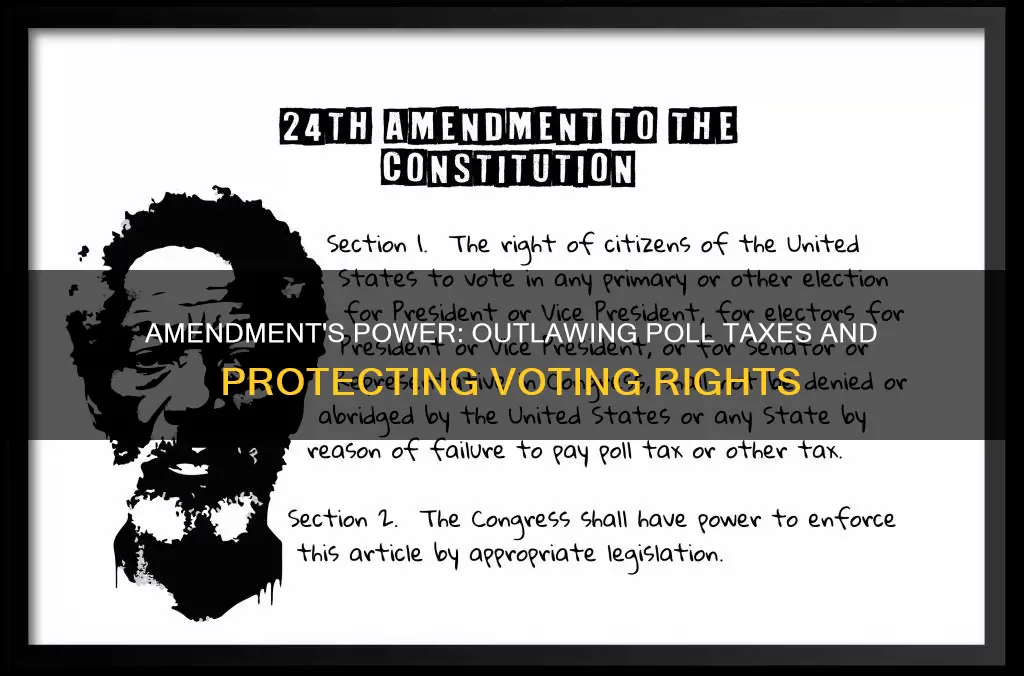 what did the twenty-fourth amendment to the constitution prohibit brainly