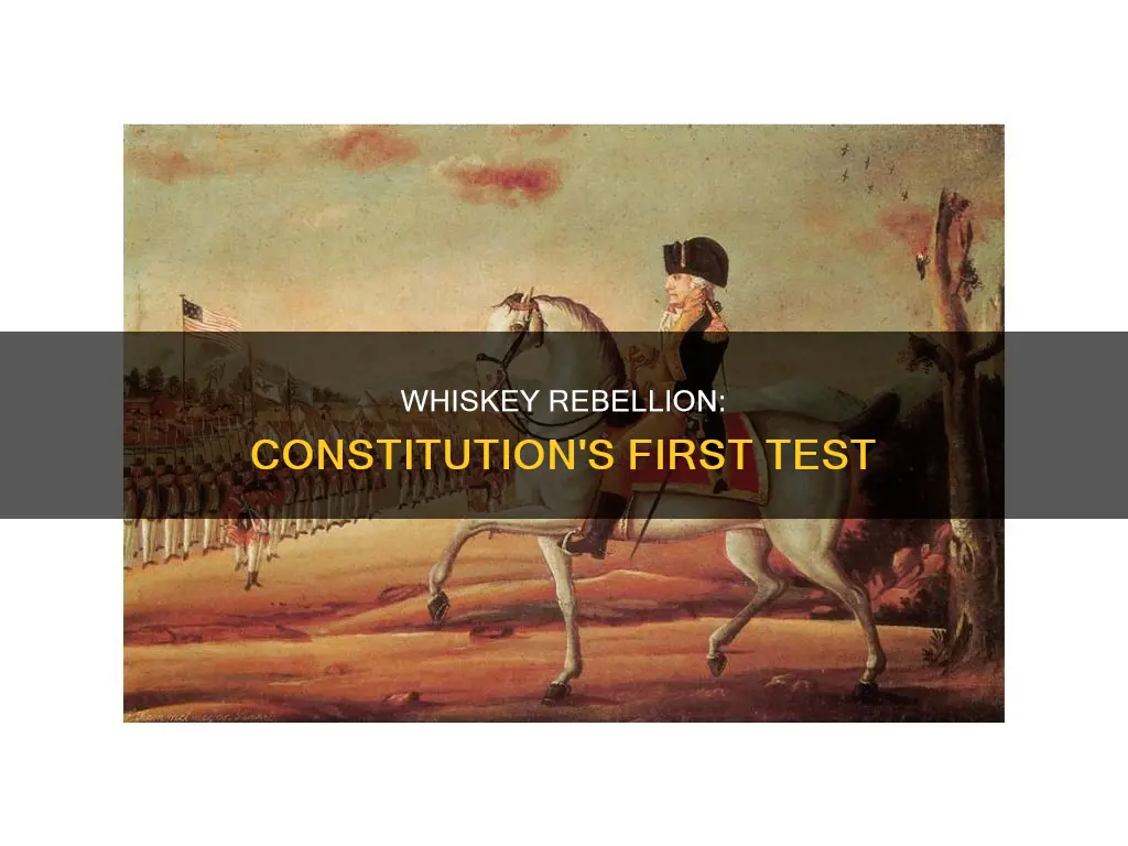 what did the whiskey rebellion prove about the new constitution