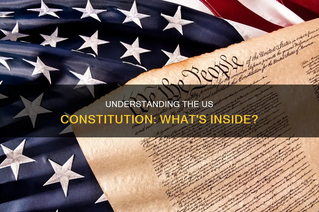 what did they describe in the us constitution