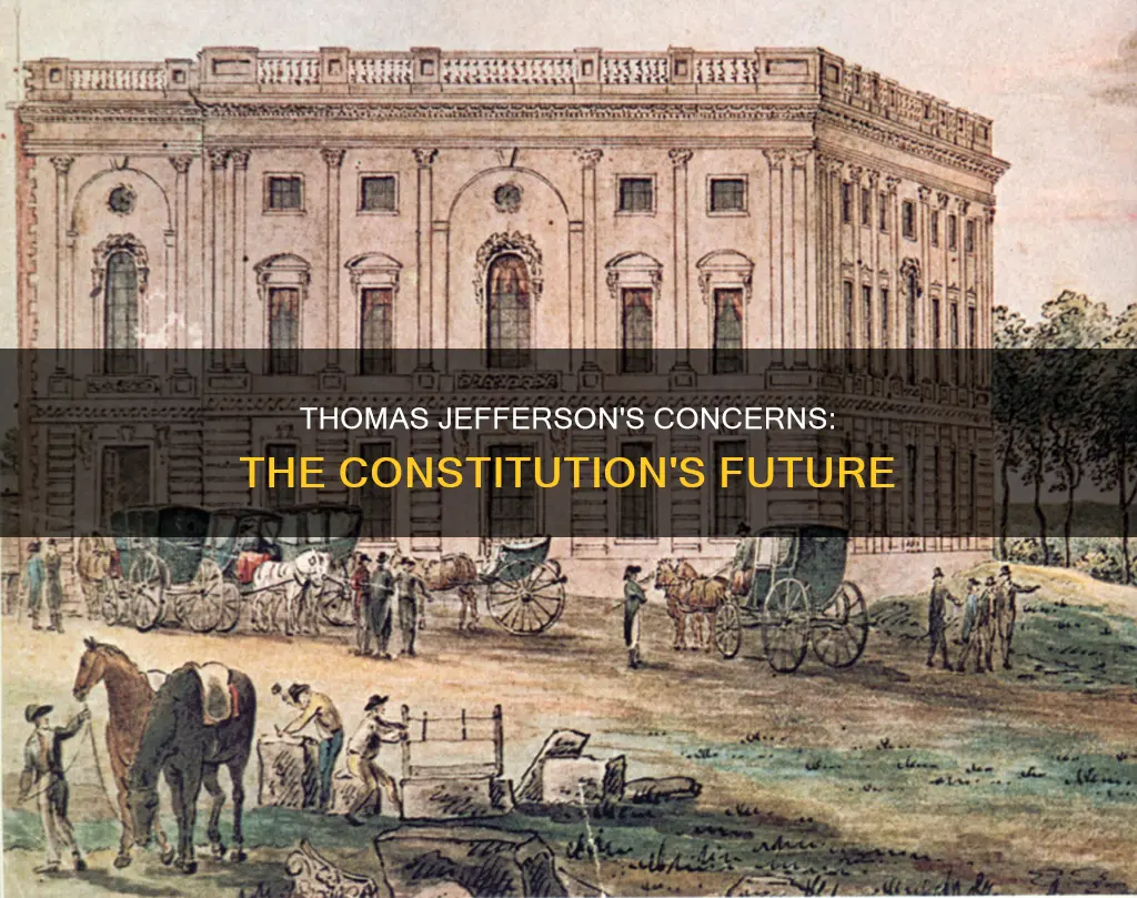 what did thomas jefferson worry about in the new constitution