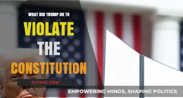 Trump's Constitutional Violations: Abuse of Power