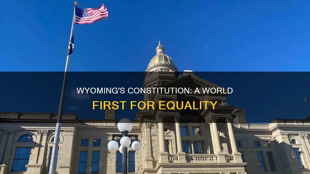 what did wyoming constitution do first in the world