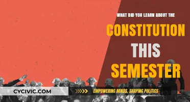 Exploring the Constitution: Lessons Learned This Semester