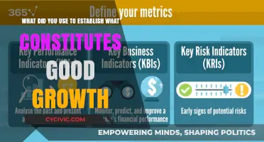 Strategies for Defining and Measuring Growth