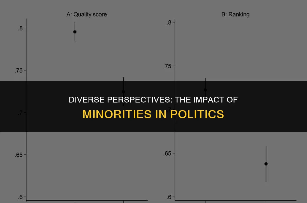 what differences can minorities bring to politics