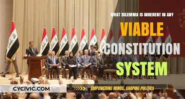 Constitutional Conundrum: Balancing Power and Liberty