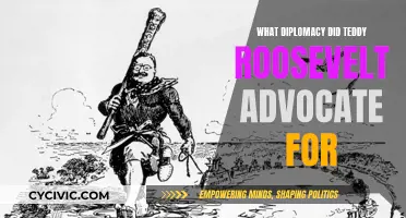 Teddy Roosevelt's Diplomacy: A Big Stick Approach