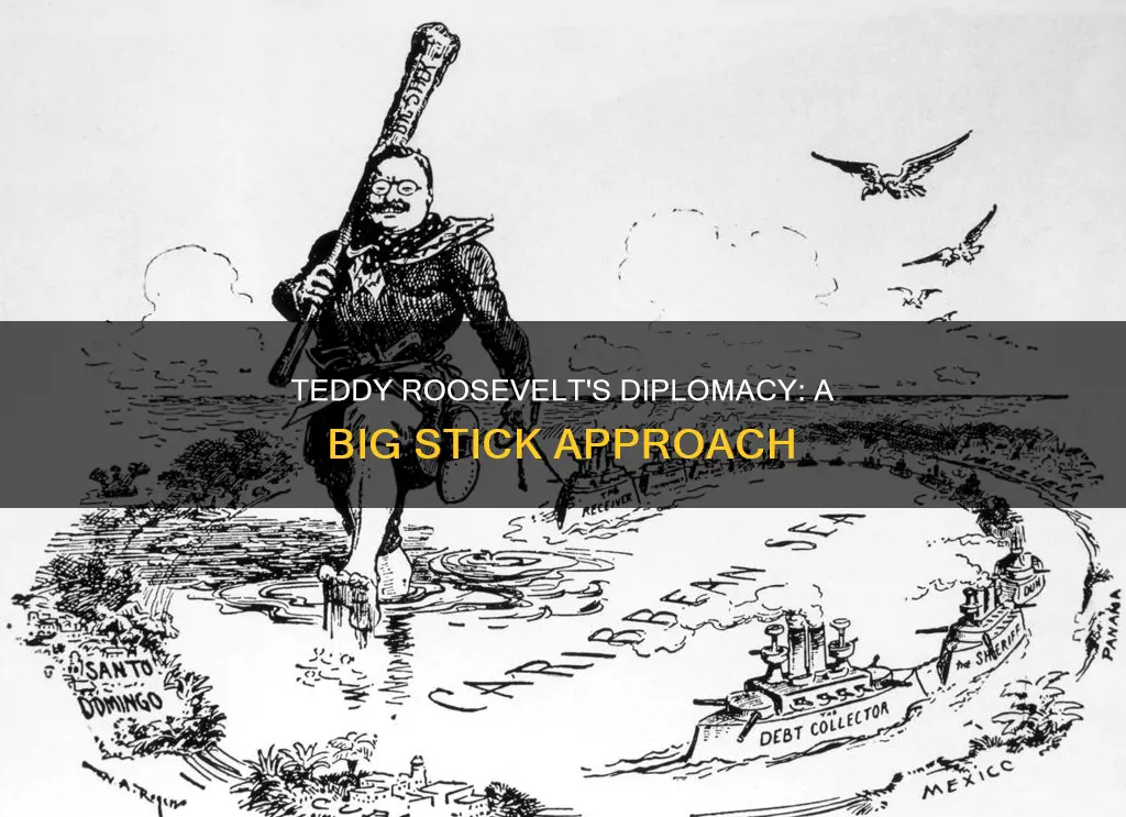 what diplomacy did teddy roosevelt advocate for