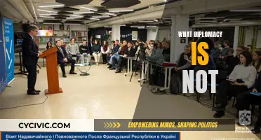 Diplomacy: Beyond Politics and War