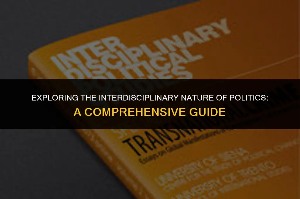 what discipline is politics in
