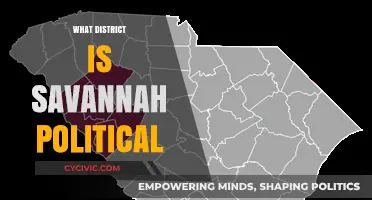 Exploring Savannah's Political Landscape: A District Breakdown