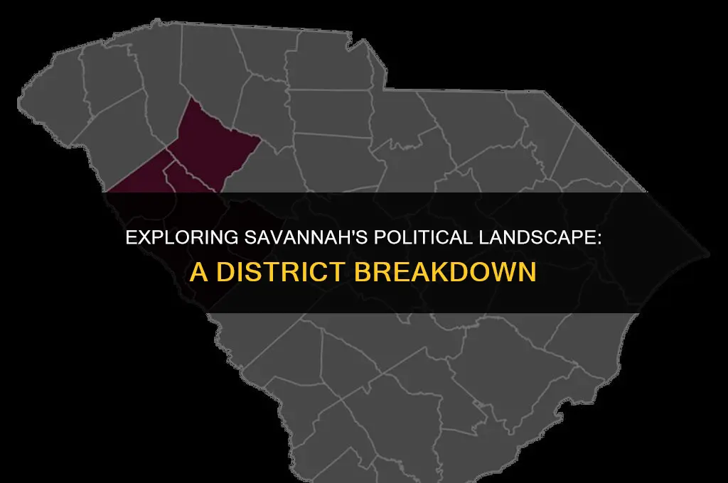 what district is savannah political