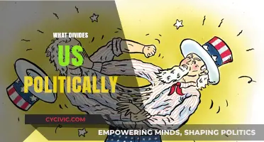 Bridging the Partisan Gap: Understanding What Divides Us Politically