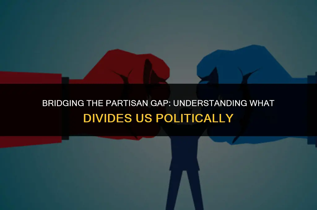 what divides us politically
