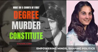 First-Degree Murder Charges: What Constitutes Five Counts?