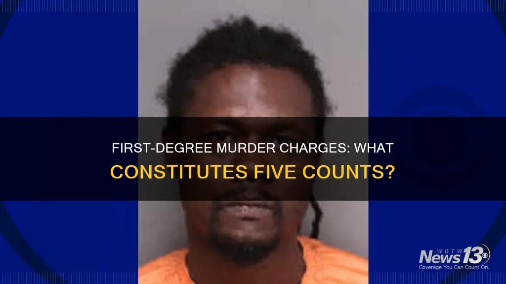 what do 5 counts of first degree murder constitute