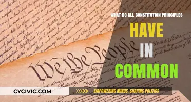 Core Principles of Constitutions: Universal Commonalities