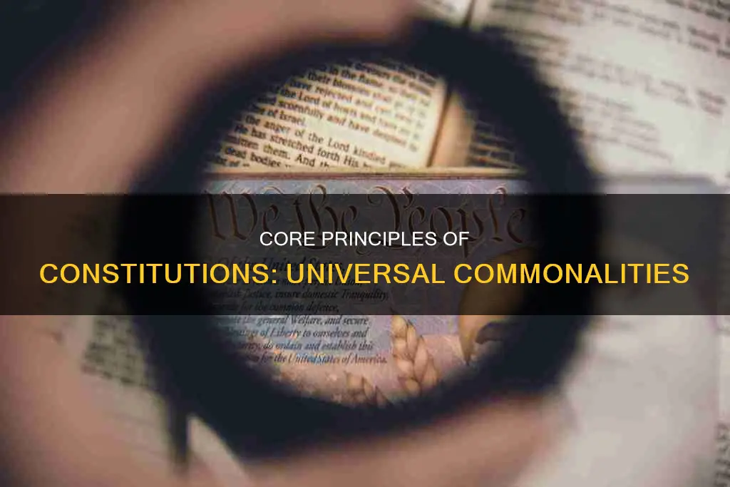 what do all constitution principles have in common