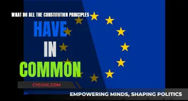 The Core of Constitutional Principles: Common Threads