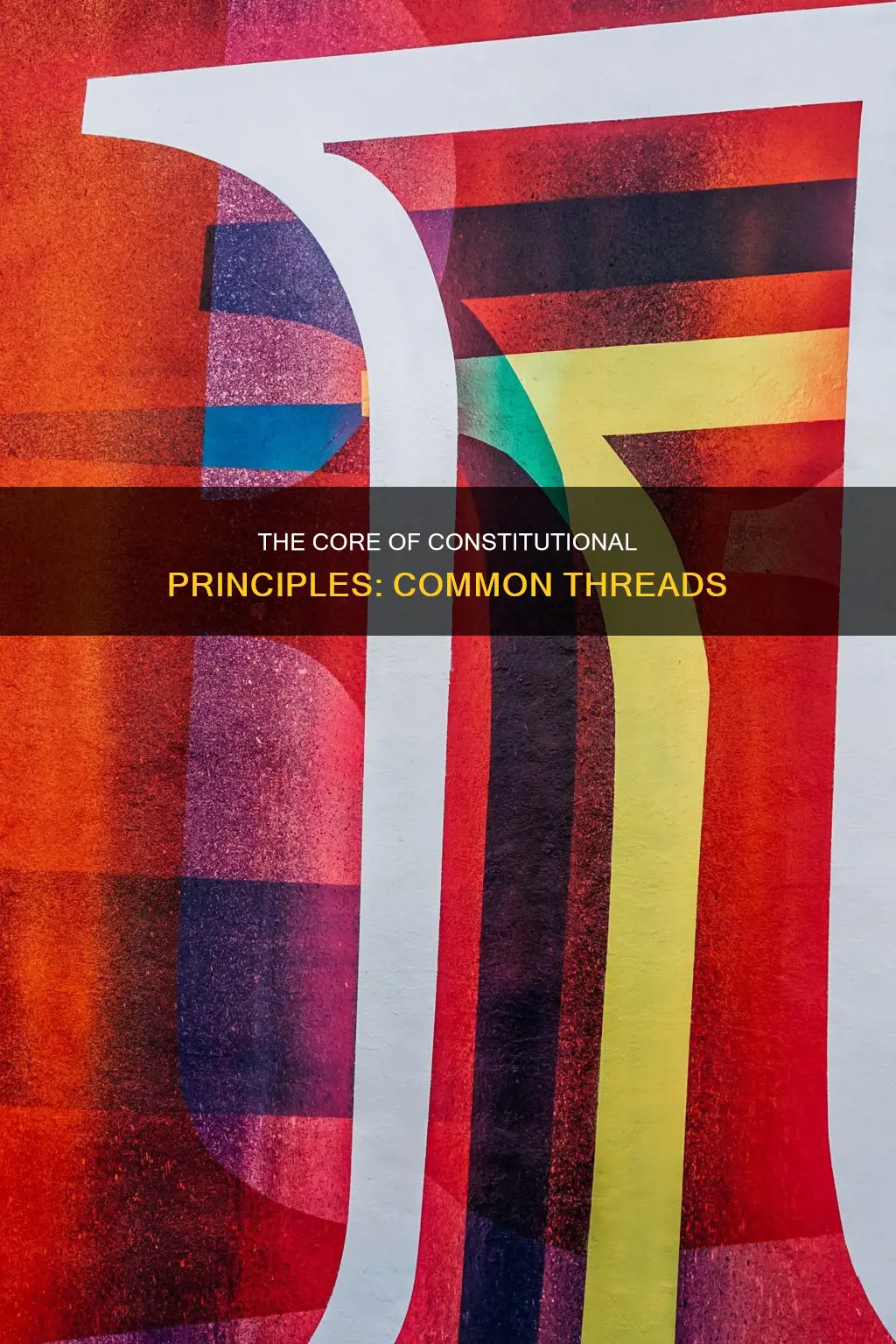 what do all the constitution principles have in common