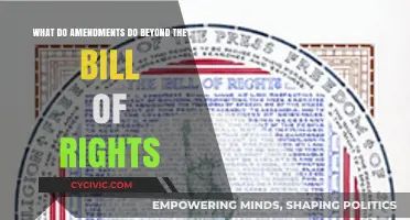Amendments: Expanding Rights and Freedoms Beyond the Bill of Rights