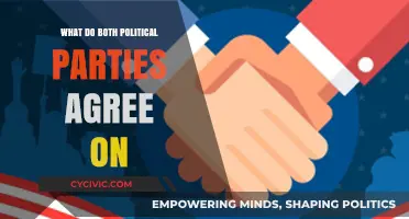 Bipartisan Unity: Surprising Issues Both Political Parties Agree On