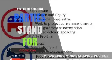 Unveiling Core Values: What Both Political Parties Truly Stand For