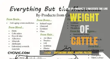 Understanding Cattle Live Weight Composition