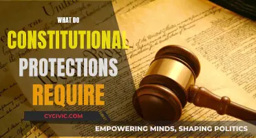 Constitutional Protections: What Are Our Fundamental Rights?