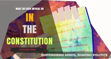 Exploring the Constitution: Understanding Each Article's Role