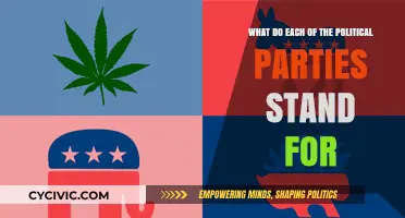 Understanding Political Parties: Core Values, Policies, and Beliefs Explained