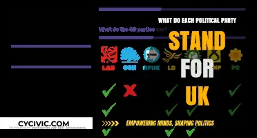 Understanding UK Political Parties: Core Values, Policies, and Beliefs Explained