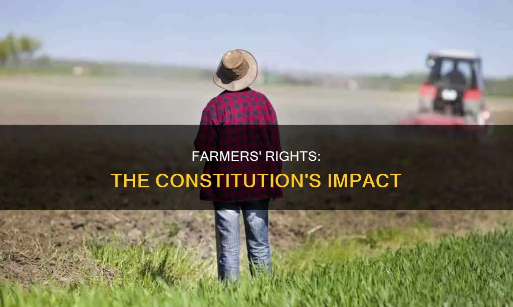what do farmers gain from the constitution of america