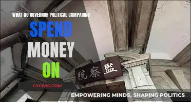 Governor Campaigns: Where Does All the Money Go?