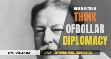 Dollar Diplomacy: Historians' Perspective on Controversial US Policy