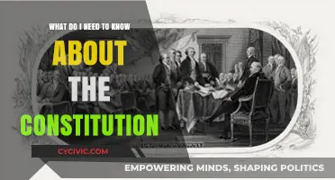 The Constitution: What You Need to Know