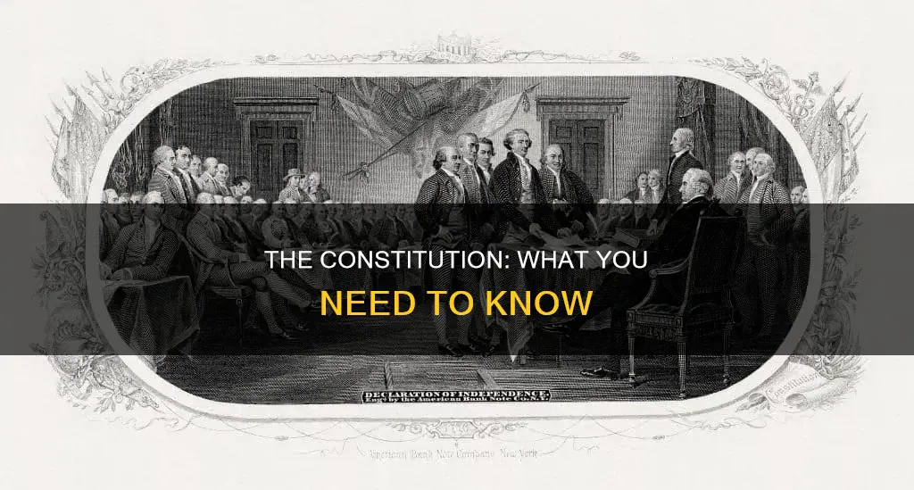 what do i need to know about the constitution