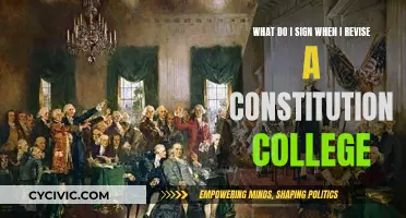 Revising a Constitution: College Edition
