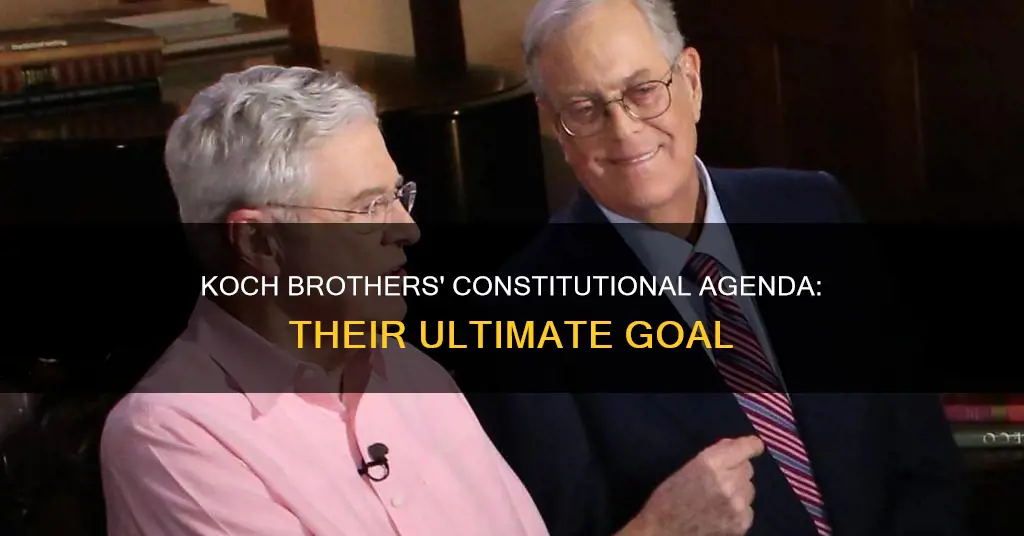 what do koch brother want in new constitution