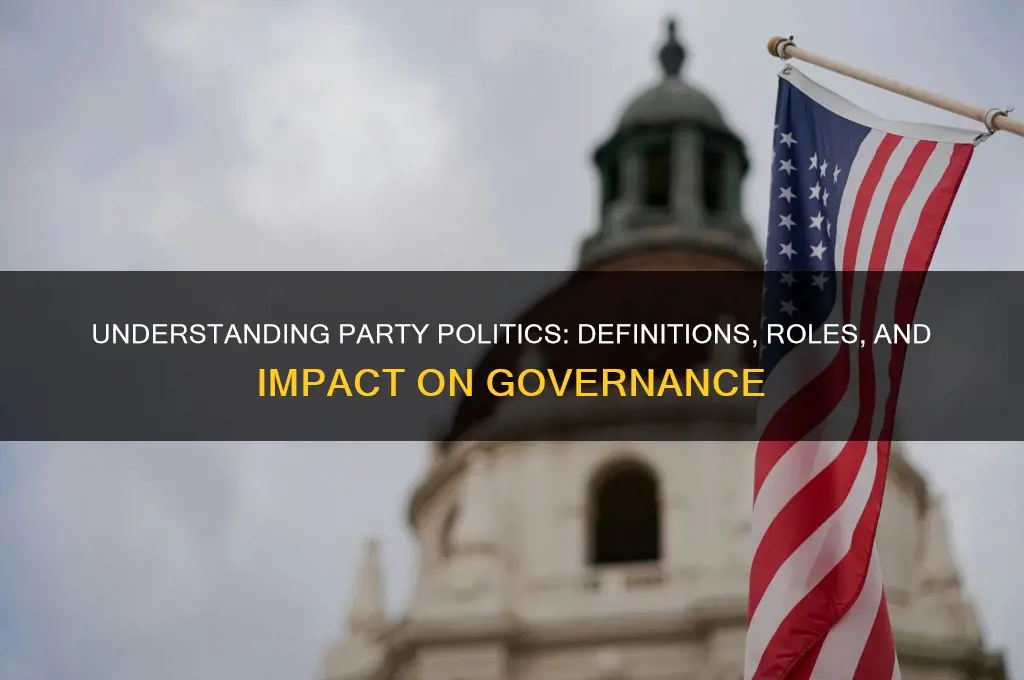 what do mean by party politics