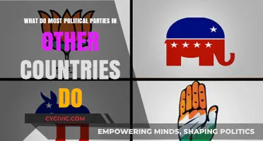 Global Political Parties: Strategies, Roles, and Influence Across Nations